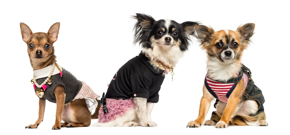 clothing business ideas